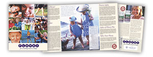 Flavay Brochure