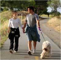 Strengthen a Weakened Immune System